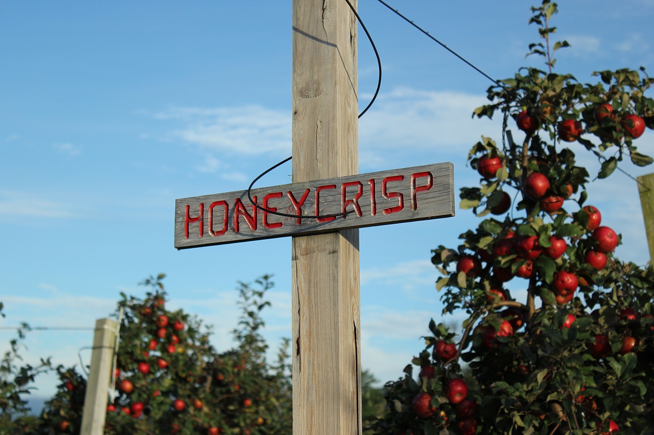 Image - apple sign rustic farm red