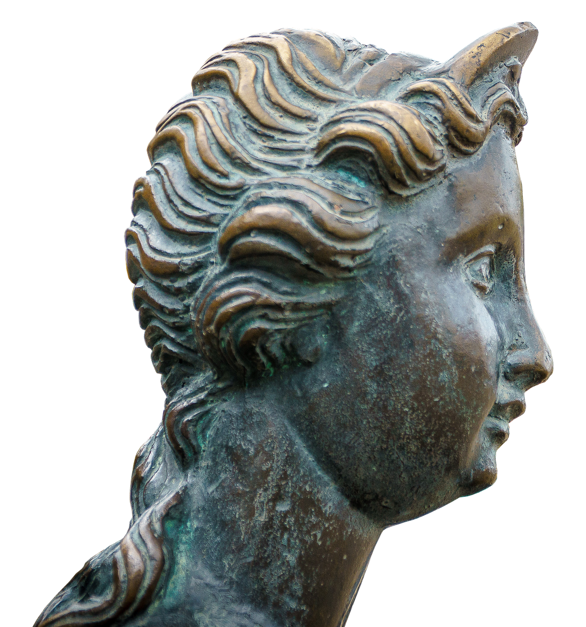 Image - woman head bronze hair of course