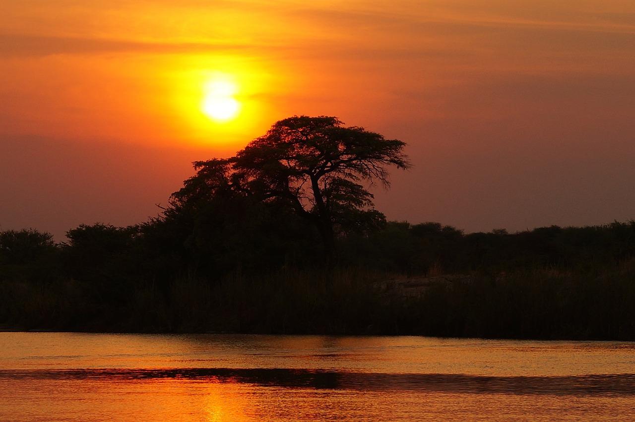 Image - africa twilight botswana