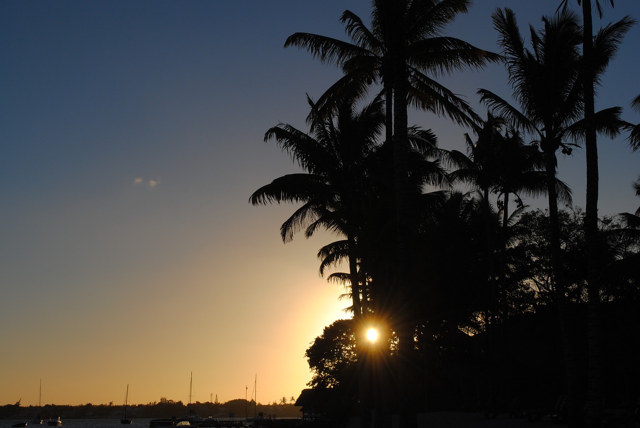 Image - sunset holiday palm trees beach