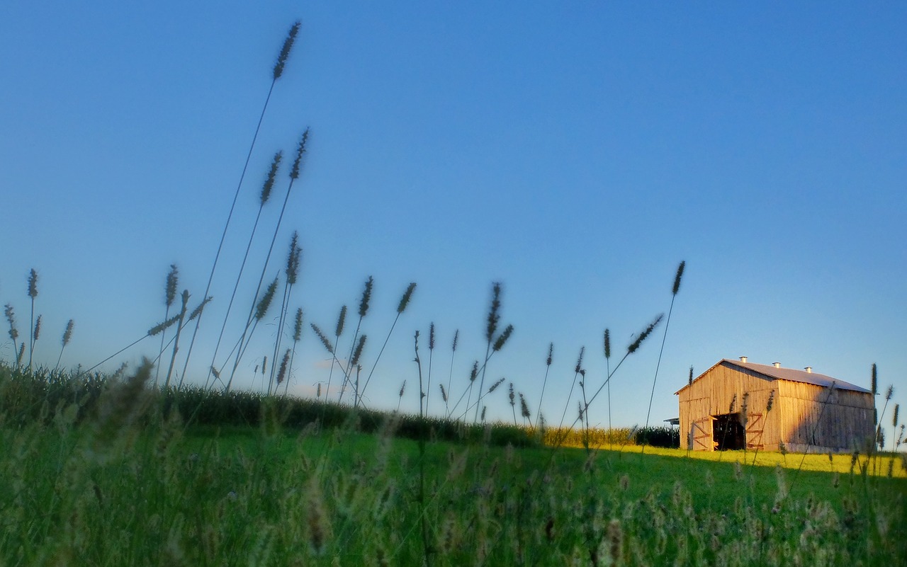 Image - barn grass farm rural agriculture