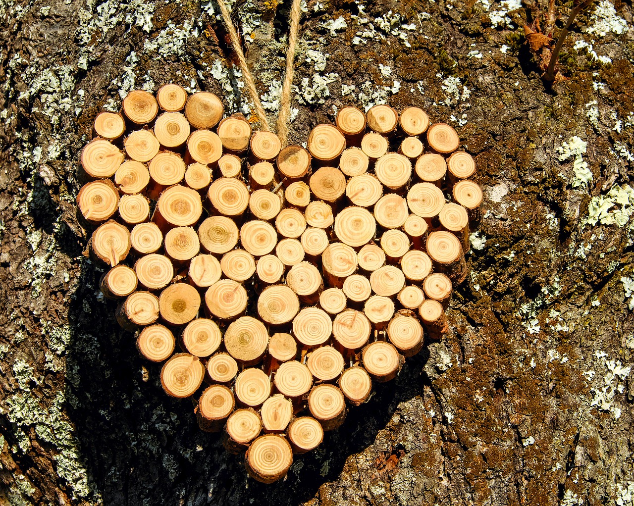 Image - heart wood wooden structure grain