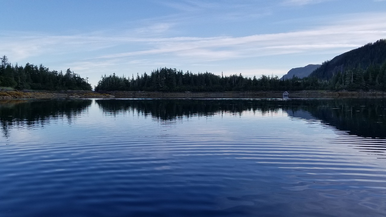 Image - alaska ocean scenery