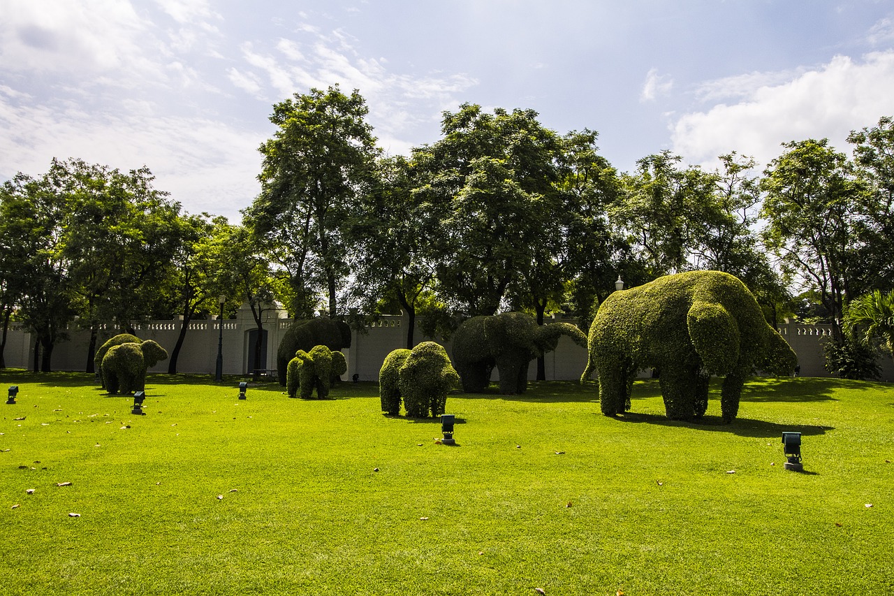 Image - park blue sky thailand elephant