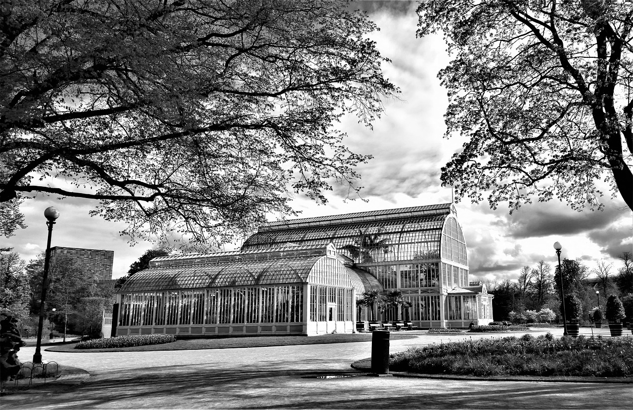 Image - gothenburg the palm house