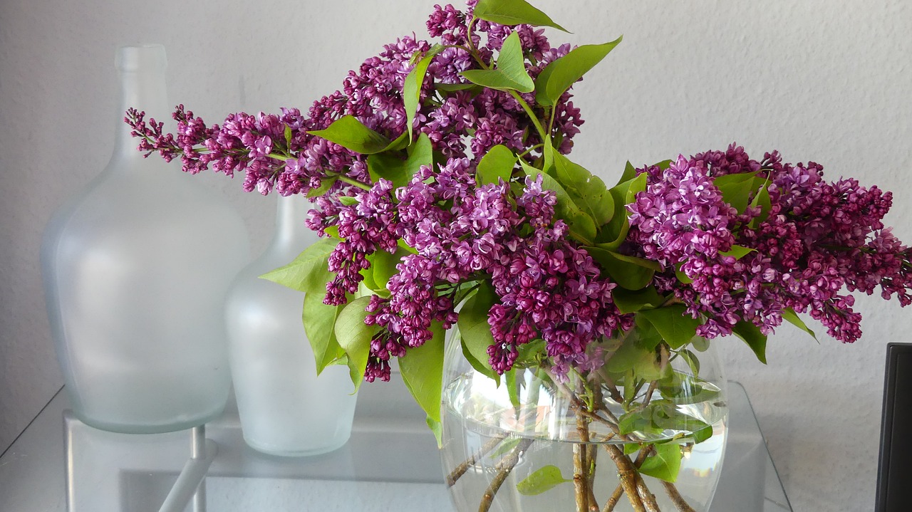 Image - lilac vase lilac flower decoration