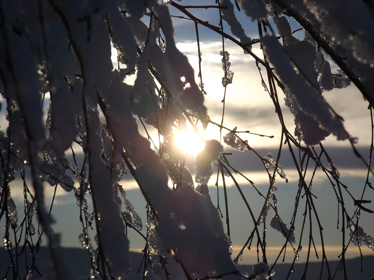 Image - sunset sopelki ground frost bush