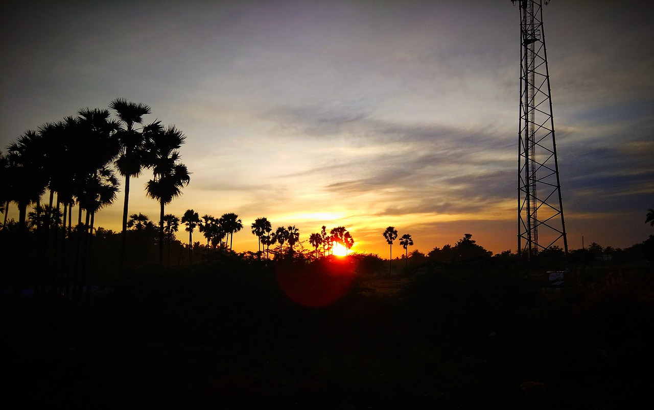 Image - skyly sunrise nature silhouette