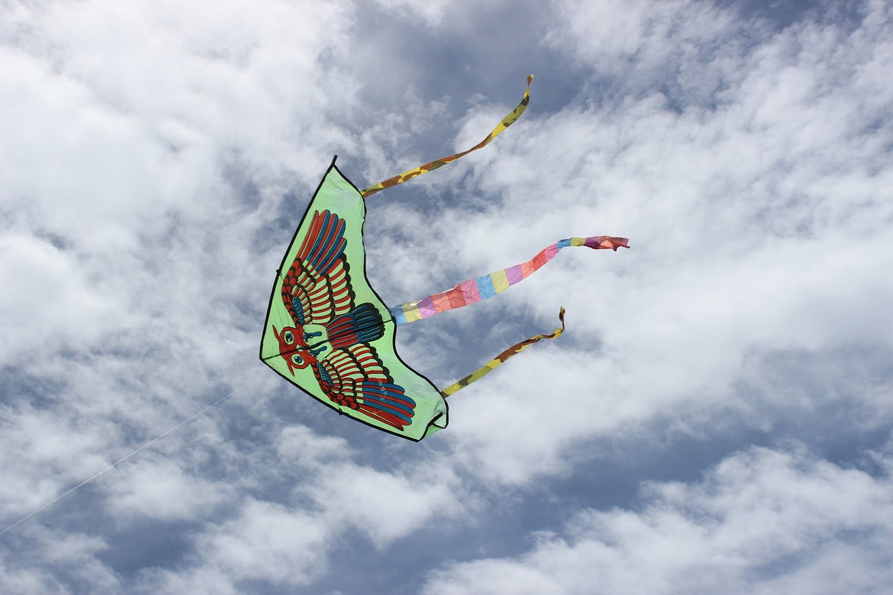 Image - kite wind sky clouds owl