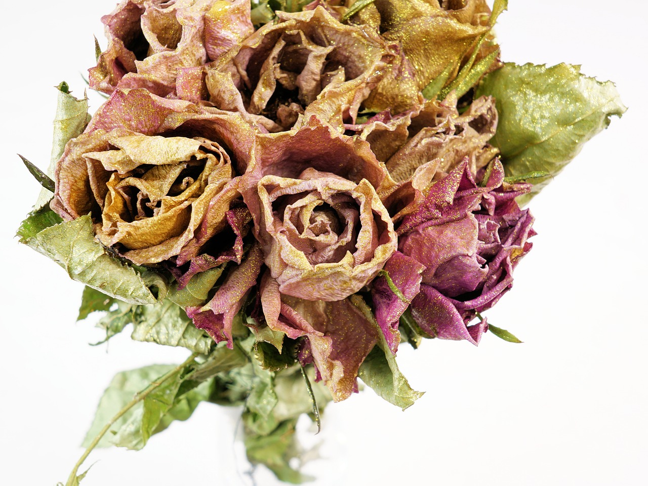 Image - roses dry dried flowers flower