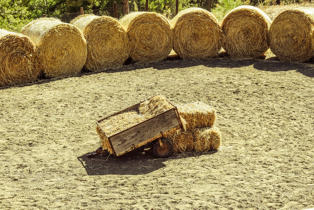 Image - wagon bales hay farm rural