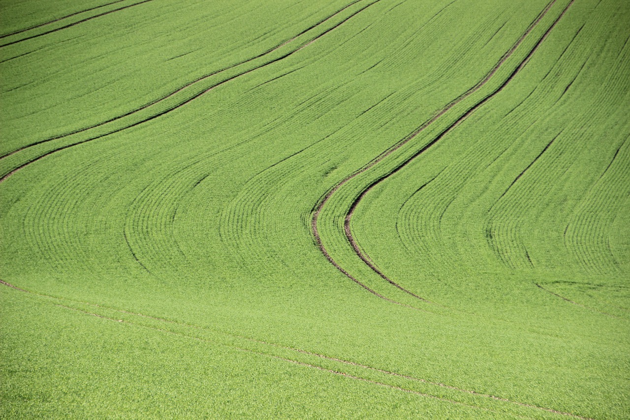 Image - agriculture field structure