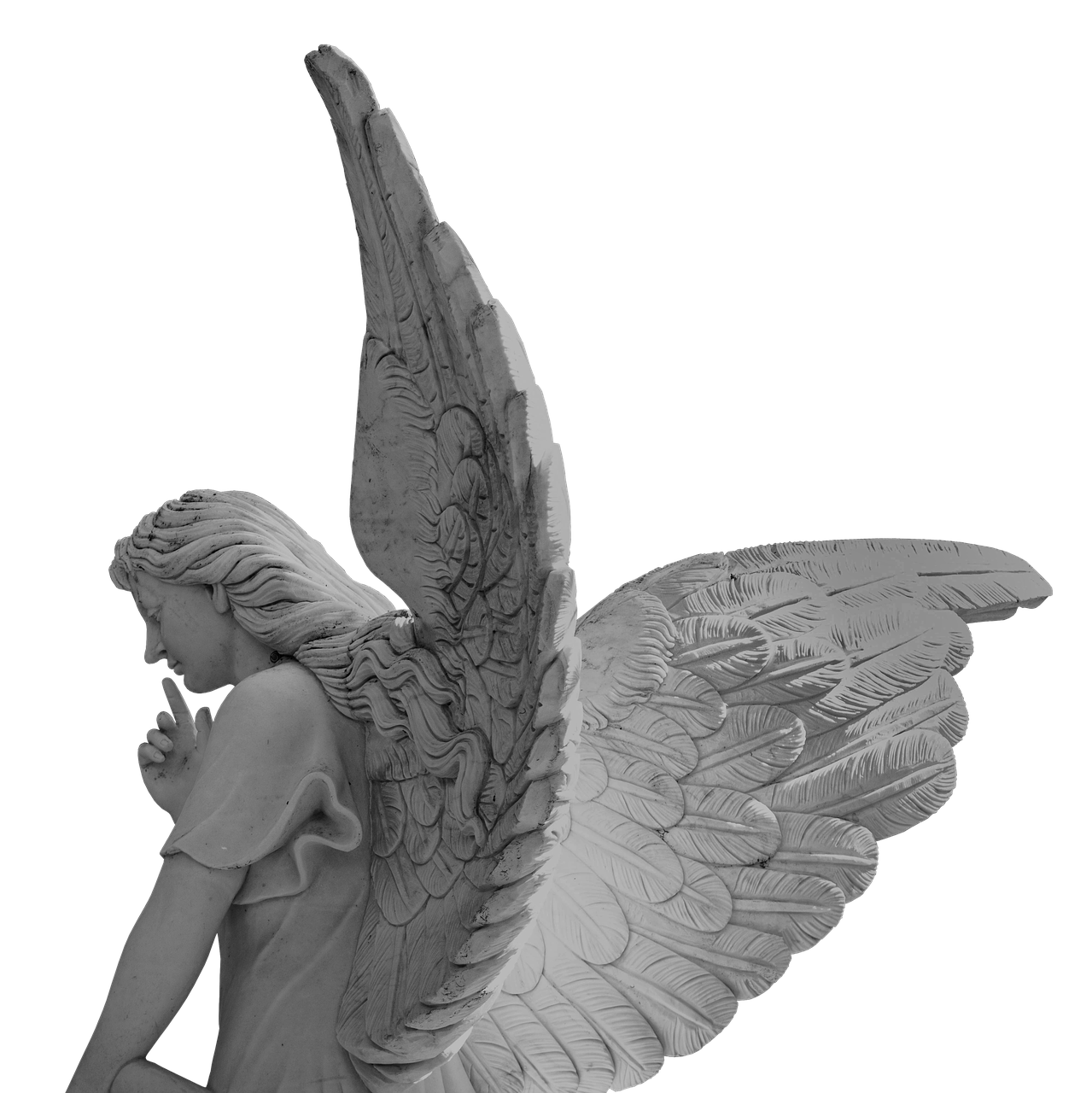 Image - angel wing little angel love