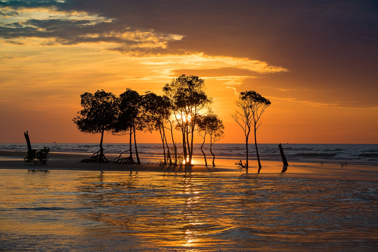 Image - sky sunset darwin mangrove horizon