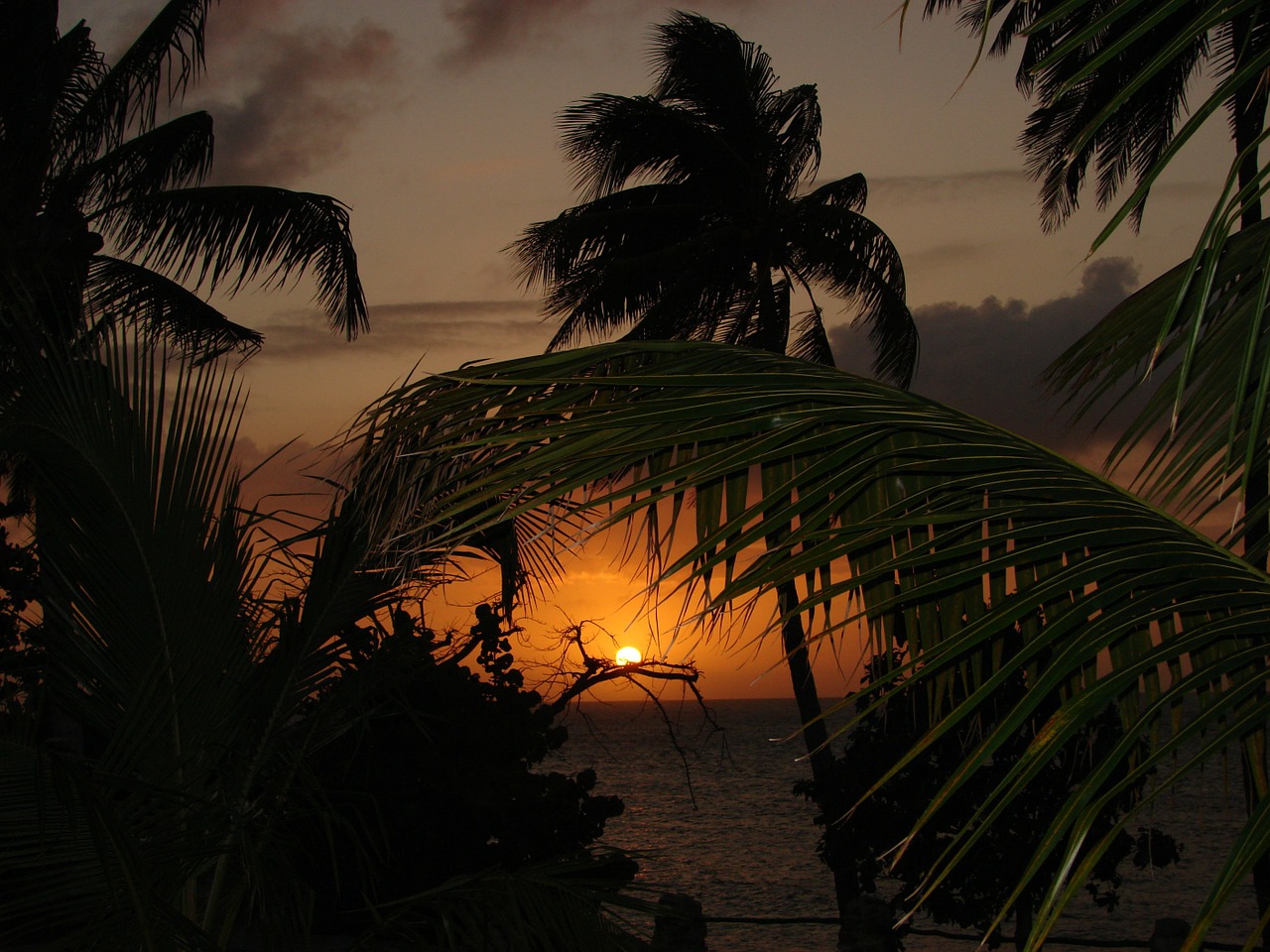 Image - caribbean sunset summer travel