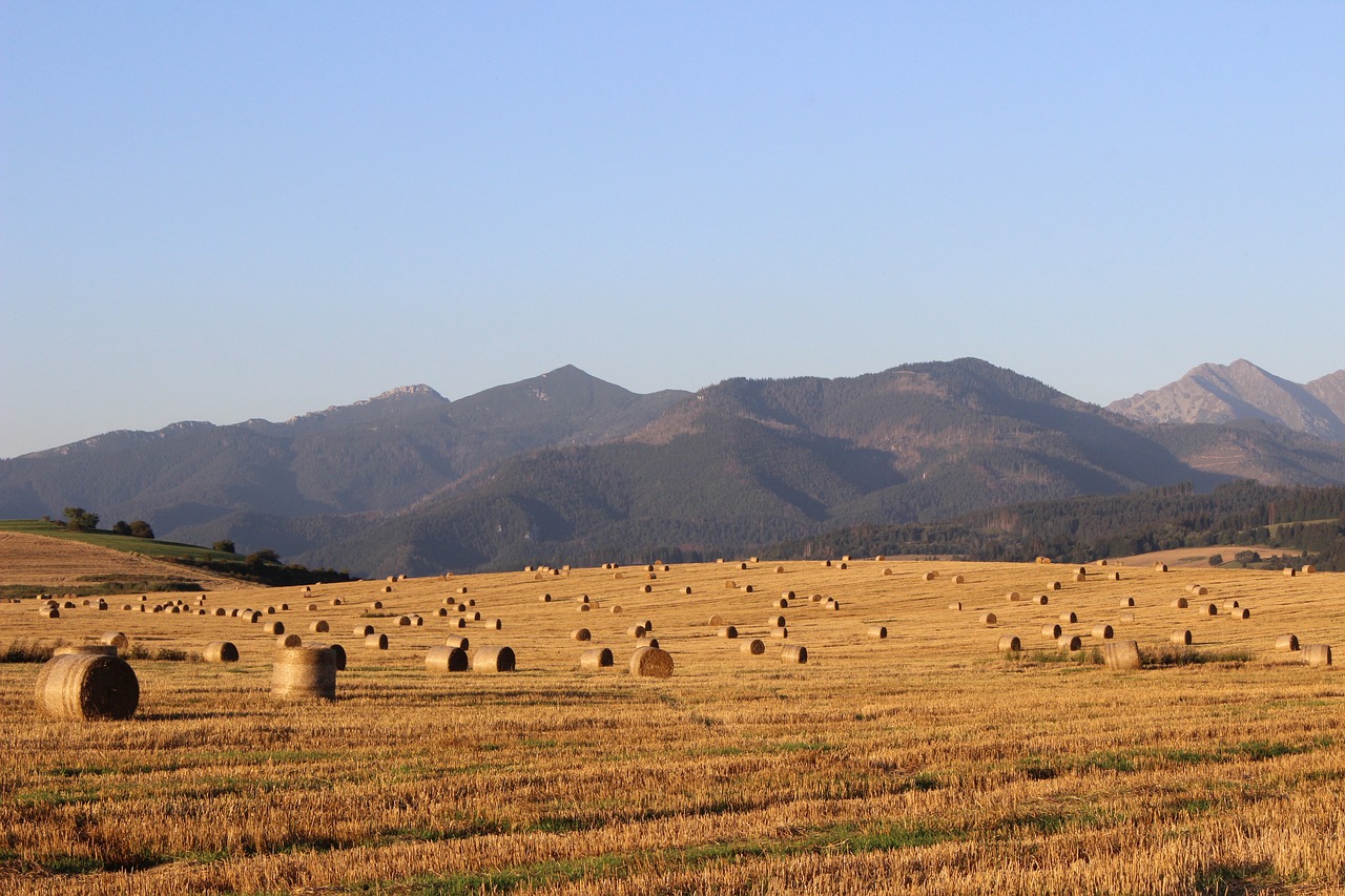 Image - field hay straw slovakia