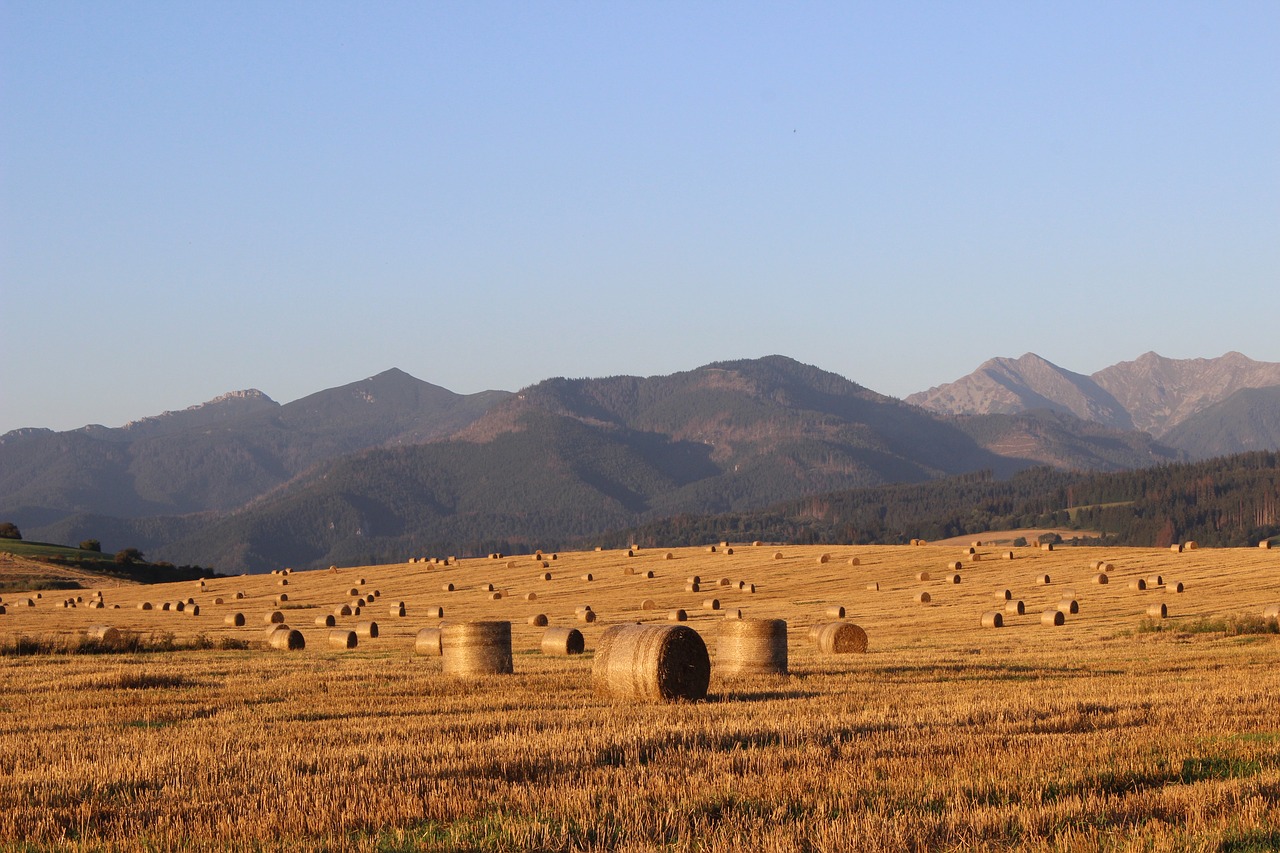 Image - field hay straw slovakia