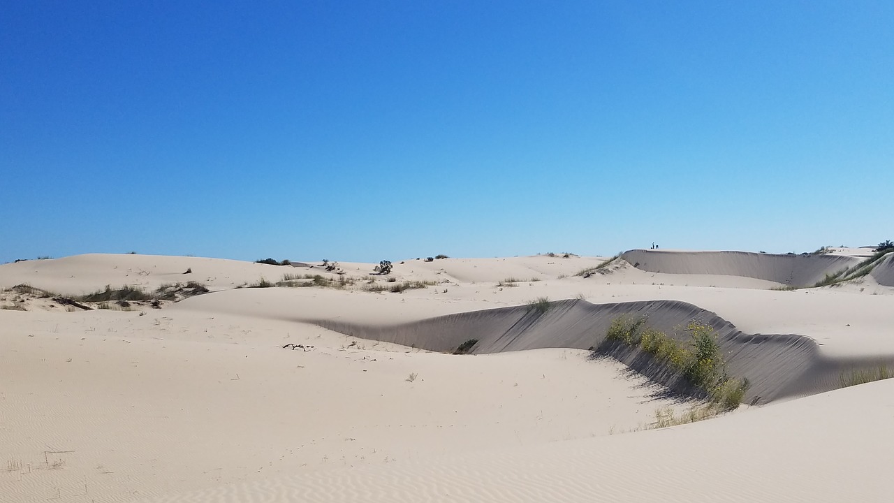 Image - desert texas monahans landscape