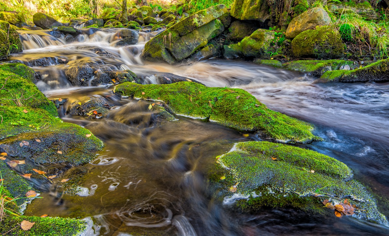 Image - stream autumn yorkshire