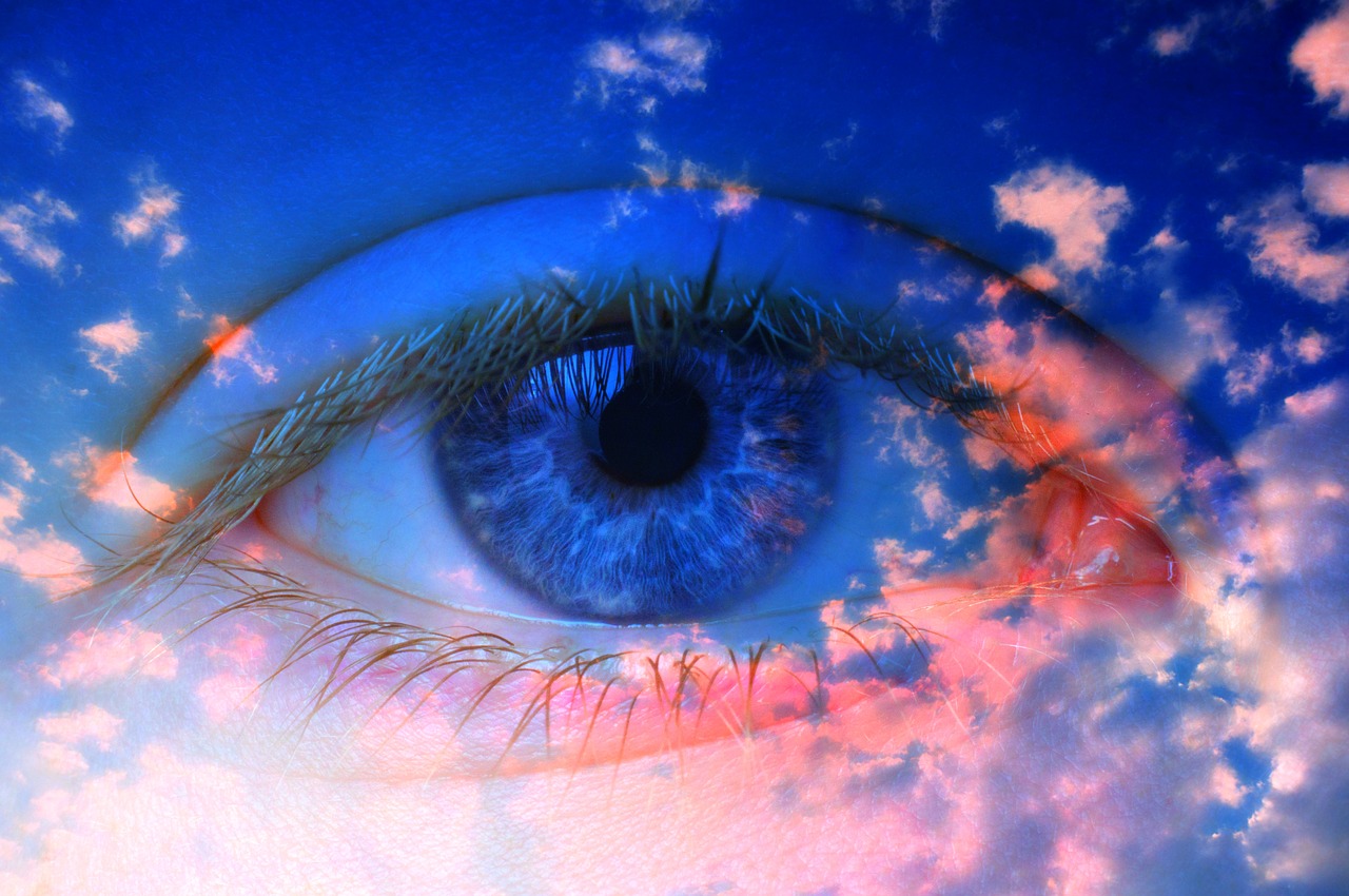 Image - eye iris pupil eyeball eyelashes