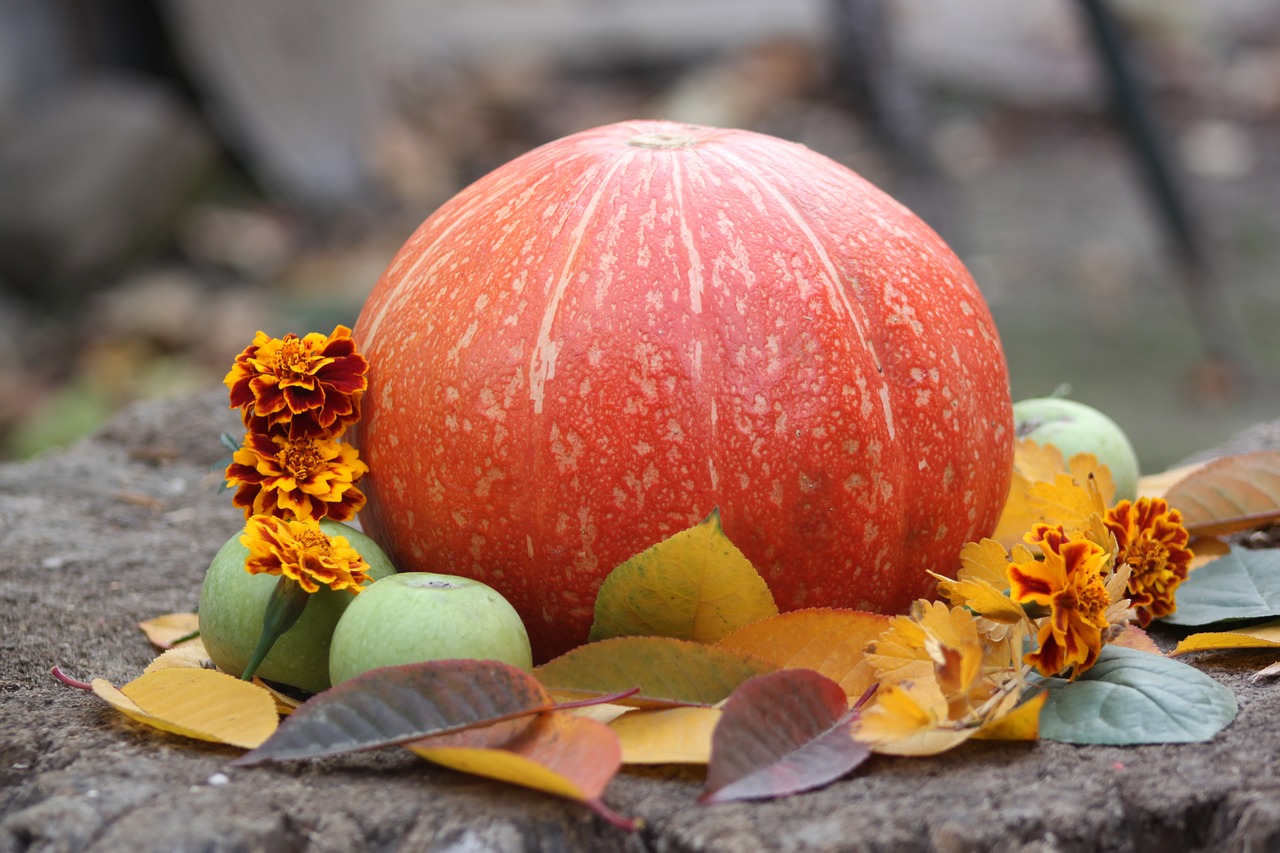 Image - pumpkin autumn vegetable tasty