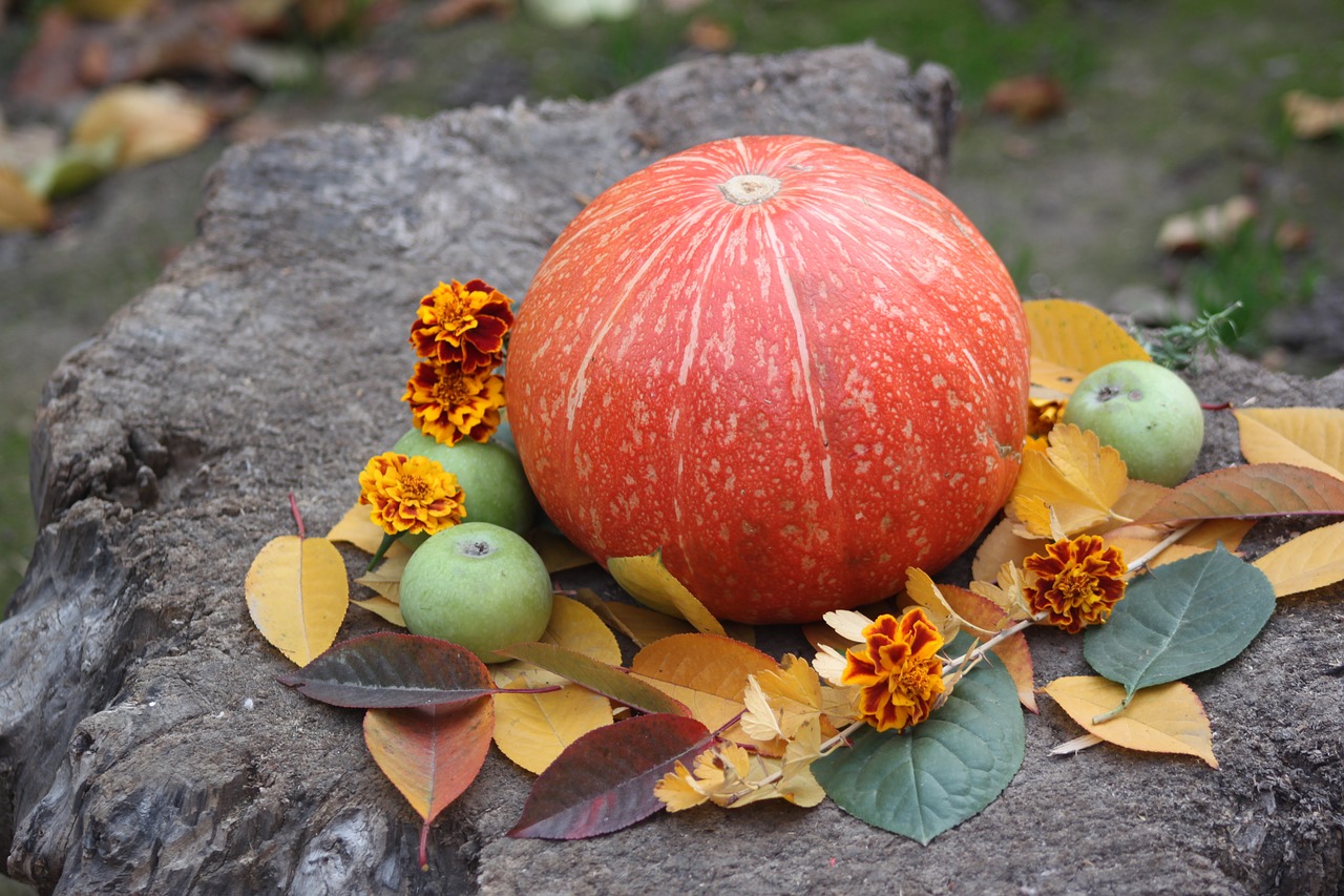 Image - pumpkin autumn vegetable tasty