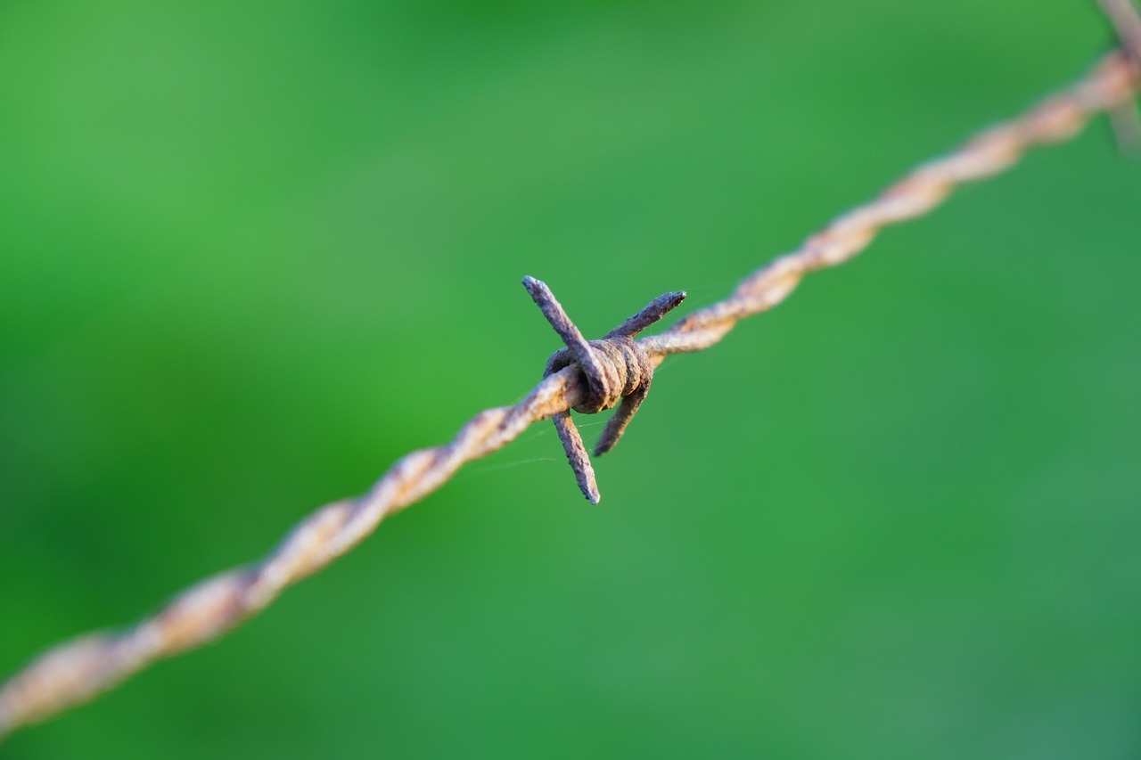 Image - barbed wire meadow green macro