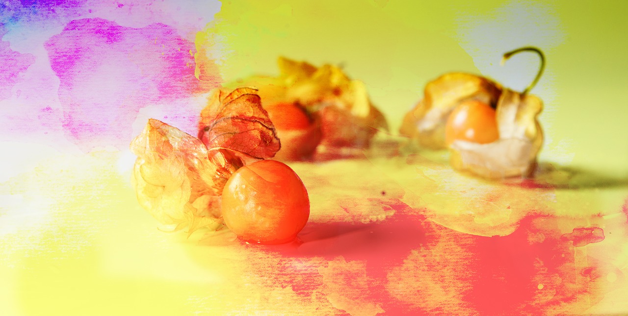 Image - physalis food photography gold berry