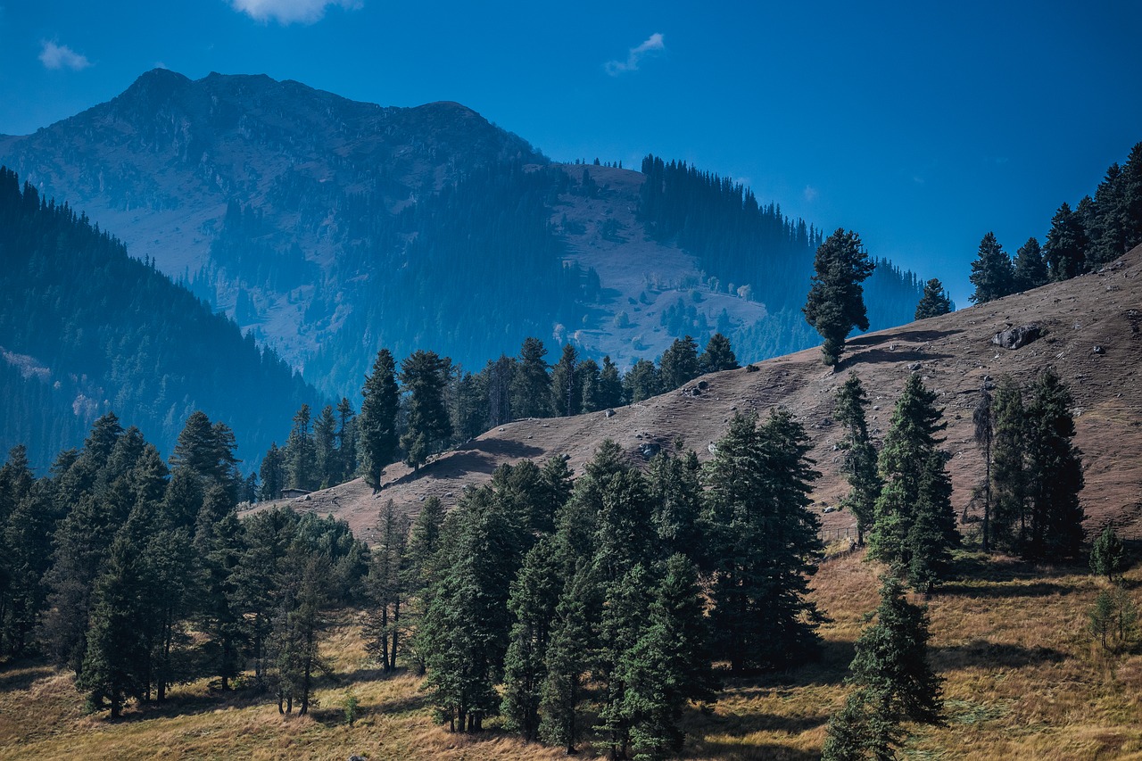 Image - autumn pahalgam autumn season