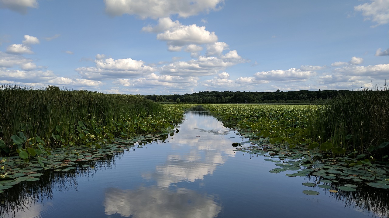 Image - pond water clouds lake reflection