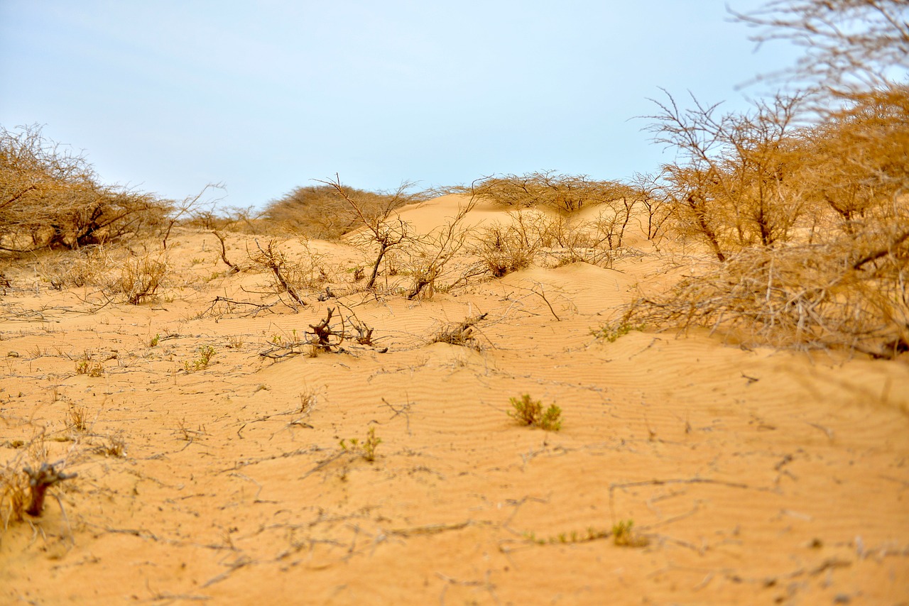 Image - desert house landscape nature sky