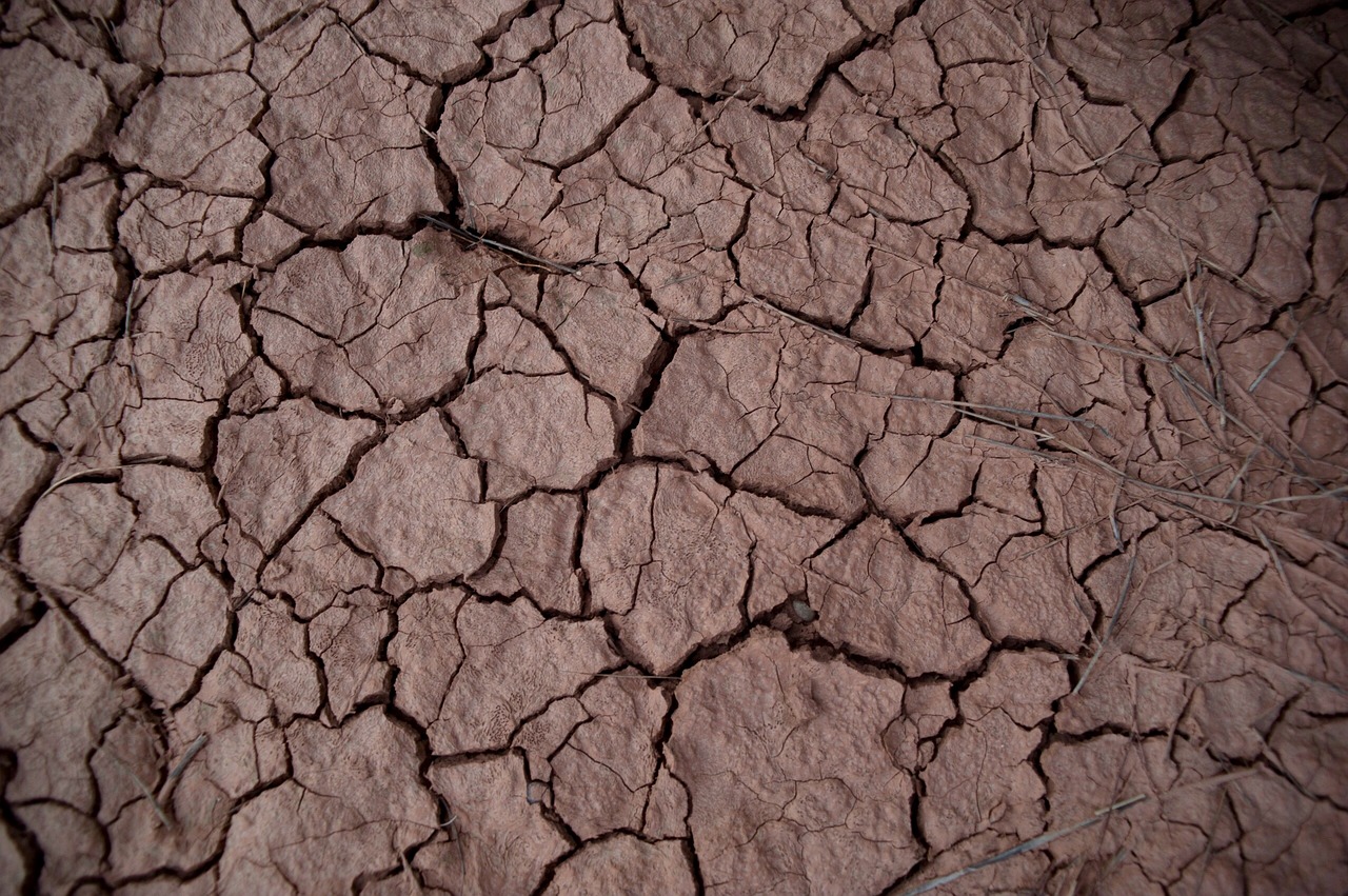 Image - drought earth desert