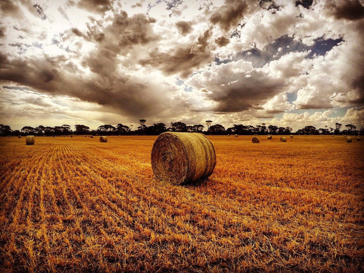 Image - farm haystack nature