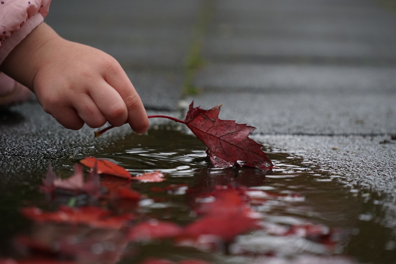 Image - autumn hand leaves red puddle