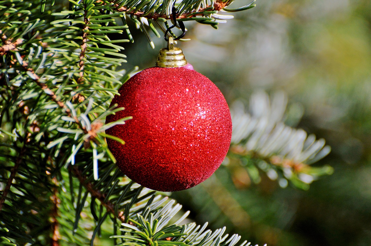 Image - christmas ornament