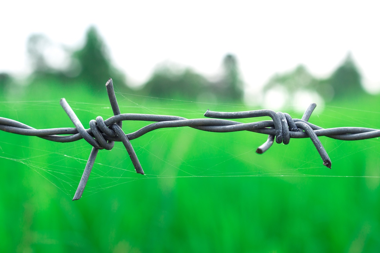 Image - barbed wire countryside green