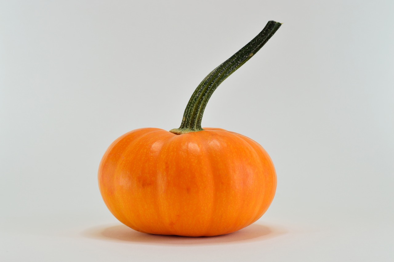 Image - pumpkin orange season vegetable