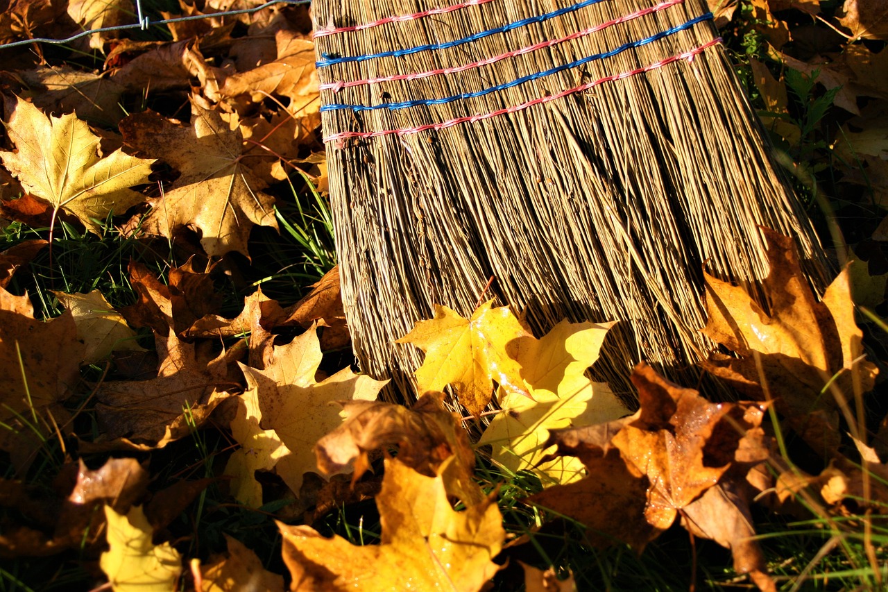 Image - yellow leaves autumn gold autumn