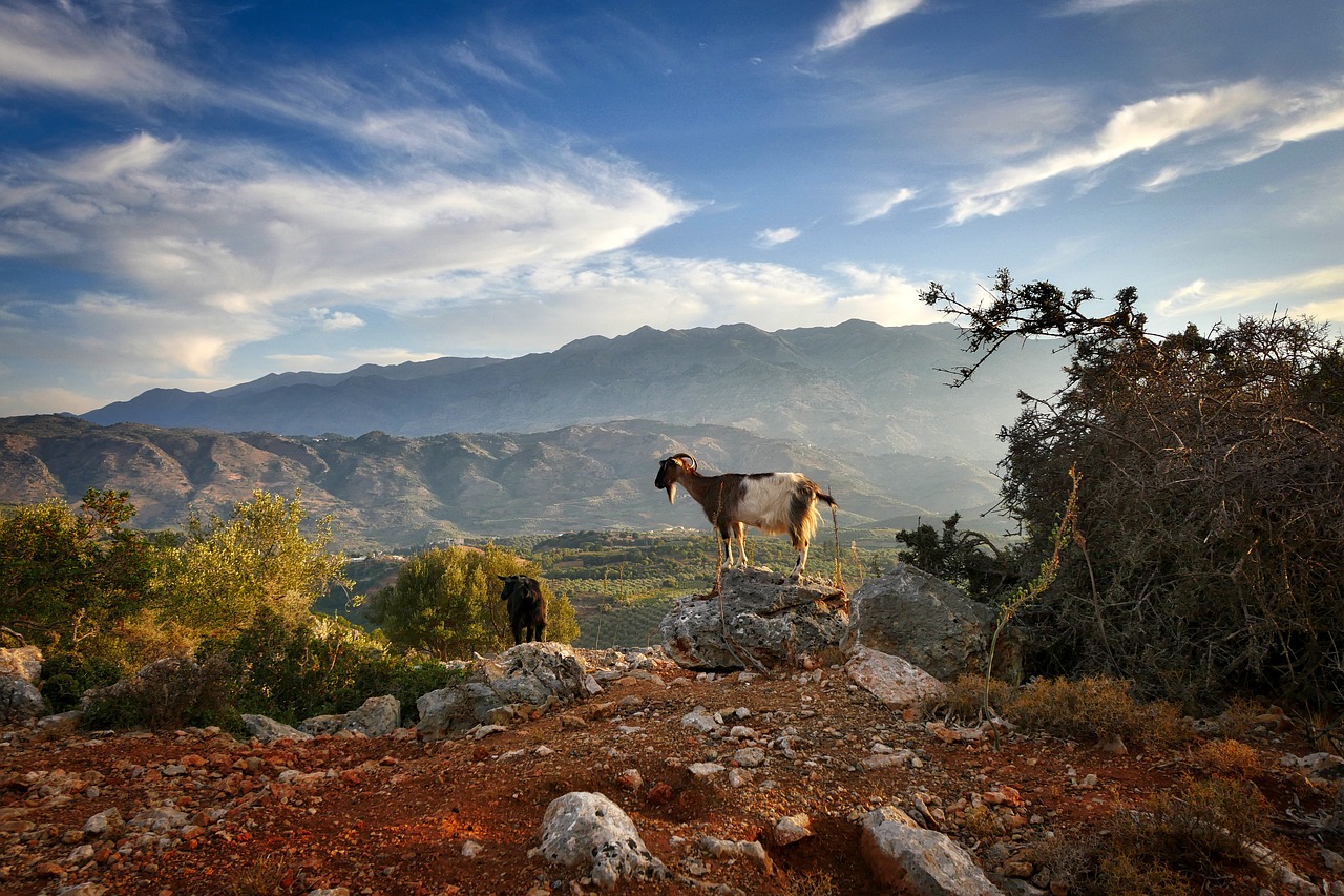 Image - crete abendstimmung goat sunset