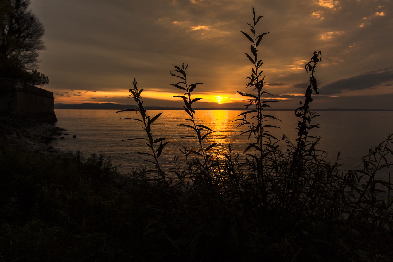 Image - sunset lake constance langenargen