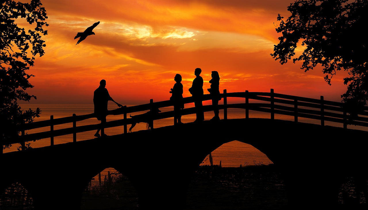 Image - sunset people bird watching bridge