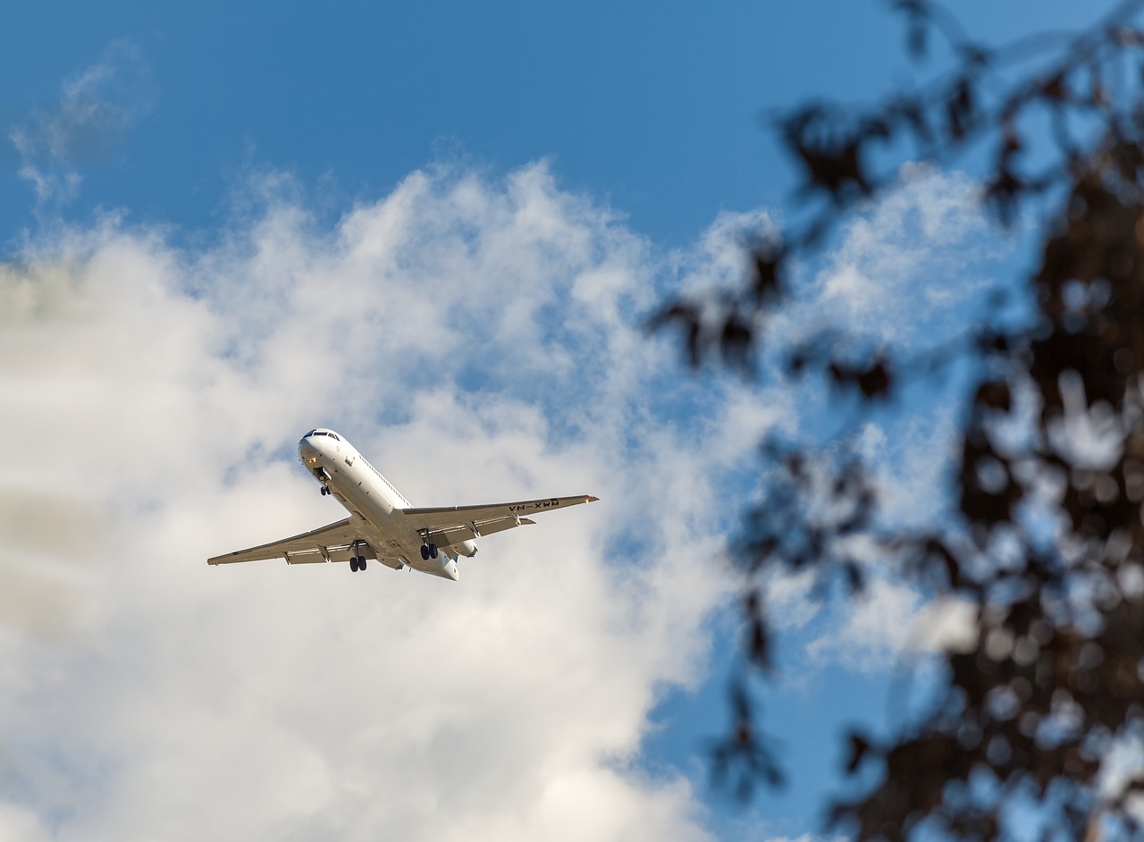 Image - plane fokker f 28 0100 c n 11276