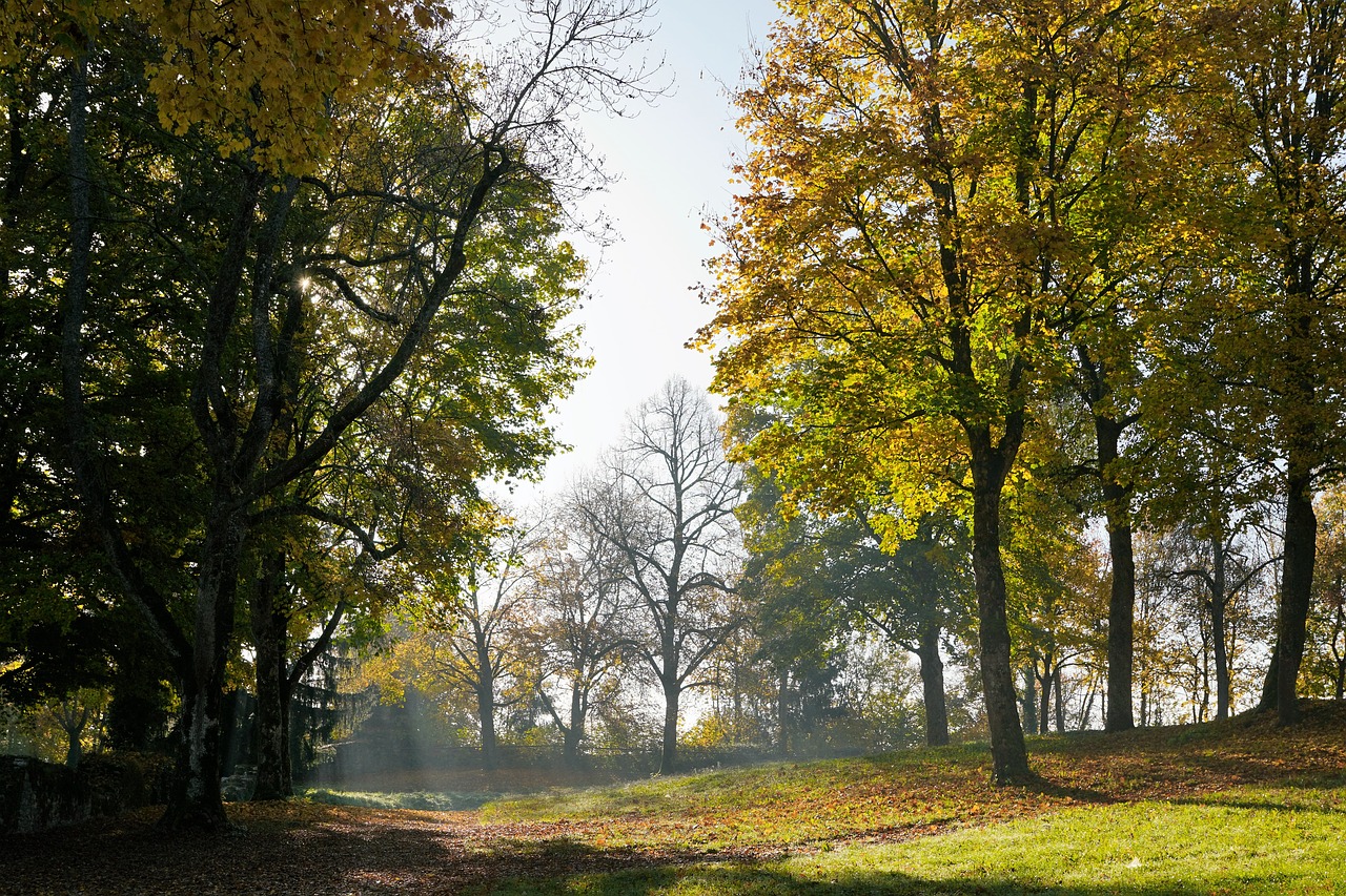 Image - autumn hike tuttlingen