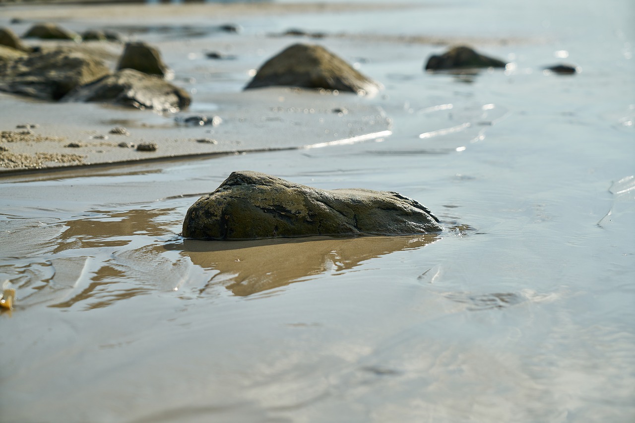 Image - kennedy sand beach water texture