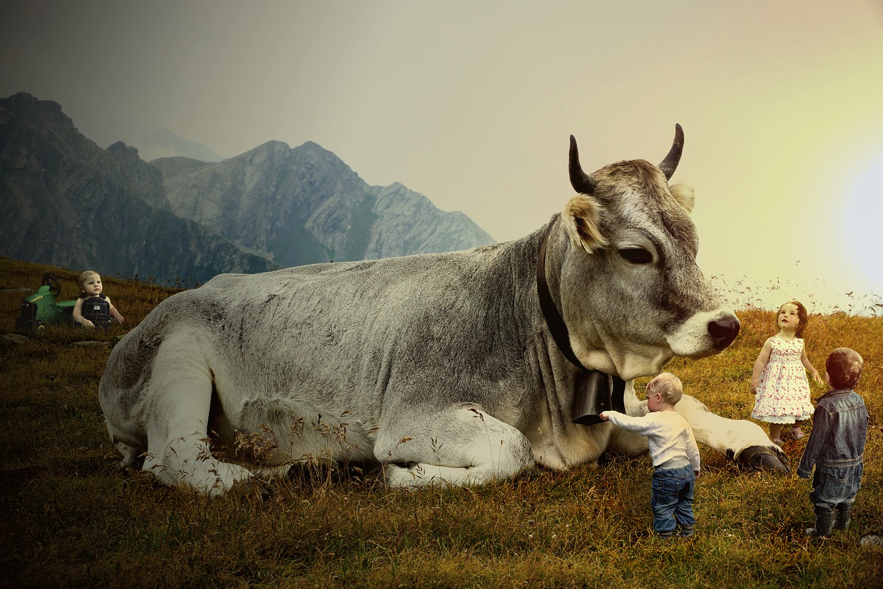 Image - cow cowboy children farm dusk