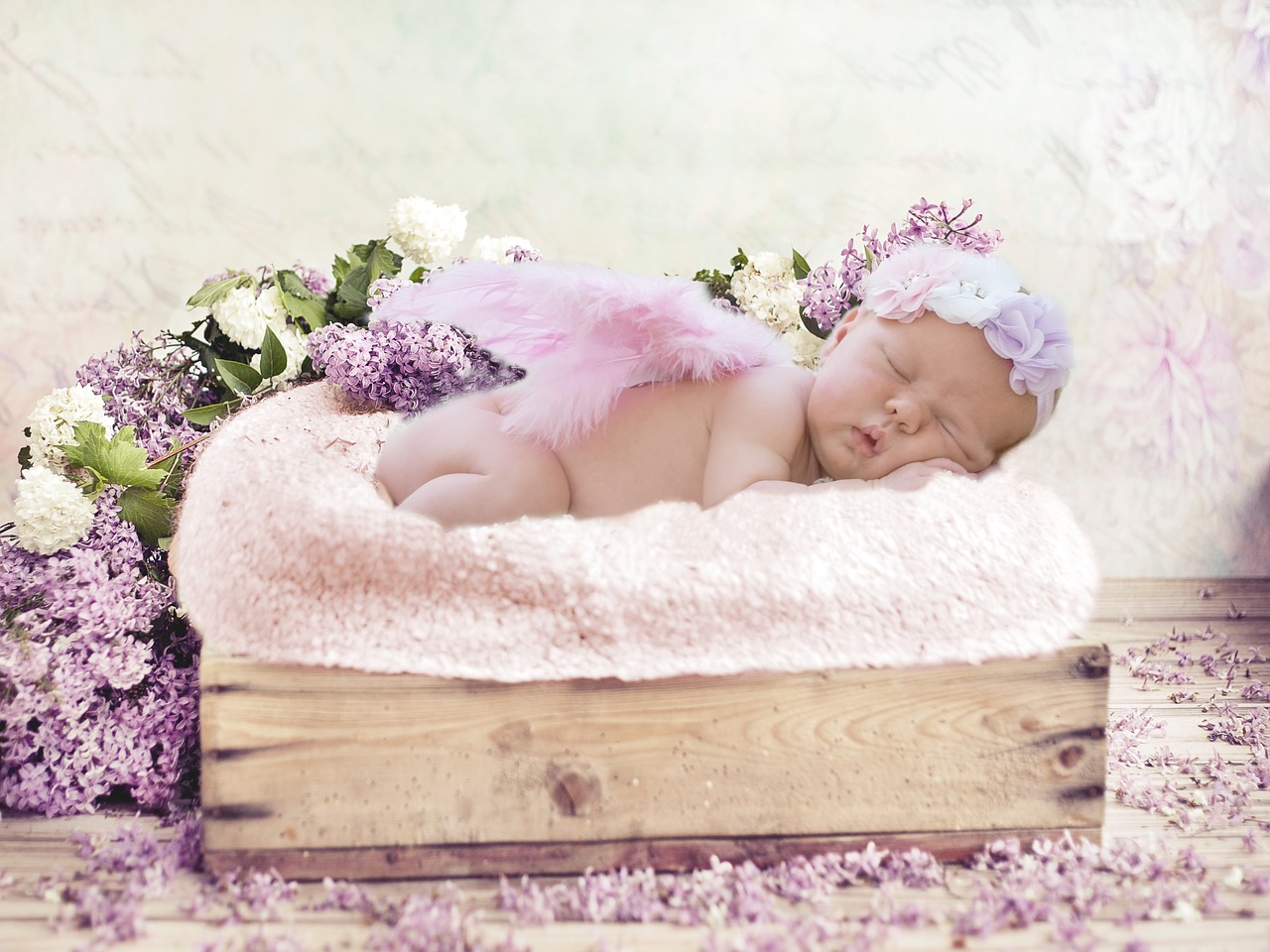 Image - flowers joy baby babe newburn