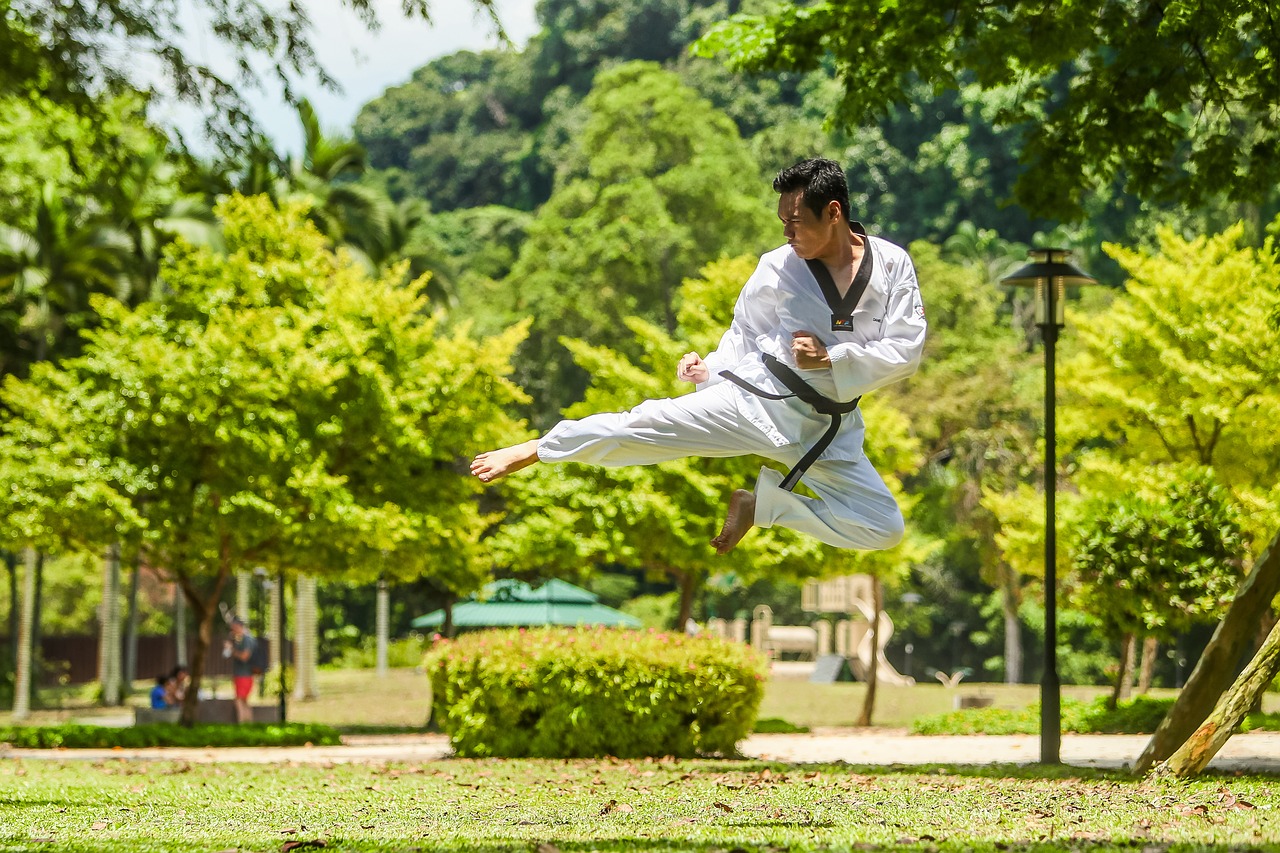 Image - martial arts kung fu kick asia