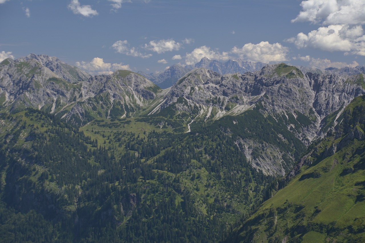 Image - alpine foghorn mountains allgäu