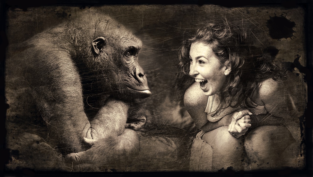 Image - composing monkey woman laugh