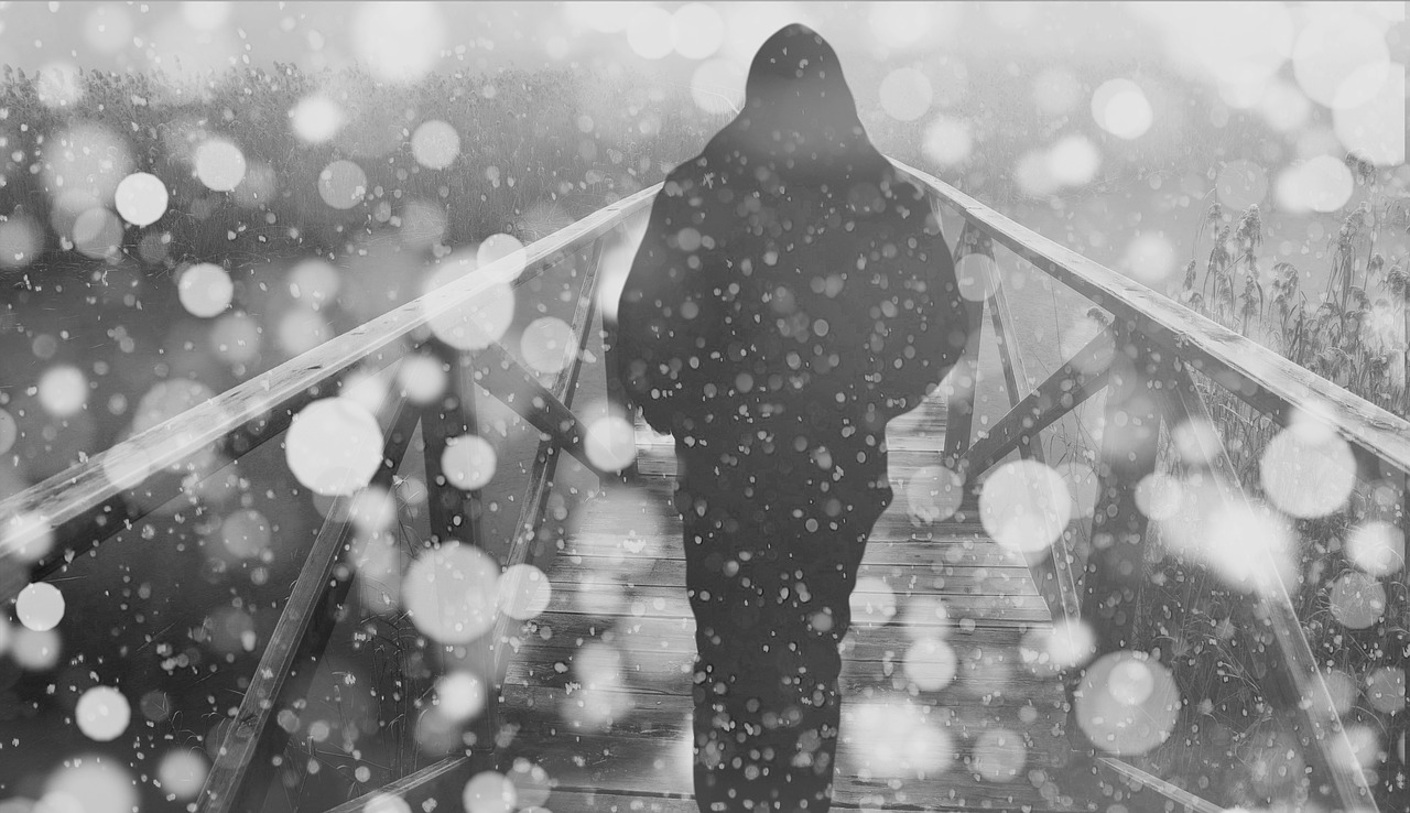Image - person bridge snow snowfall winter